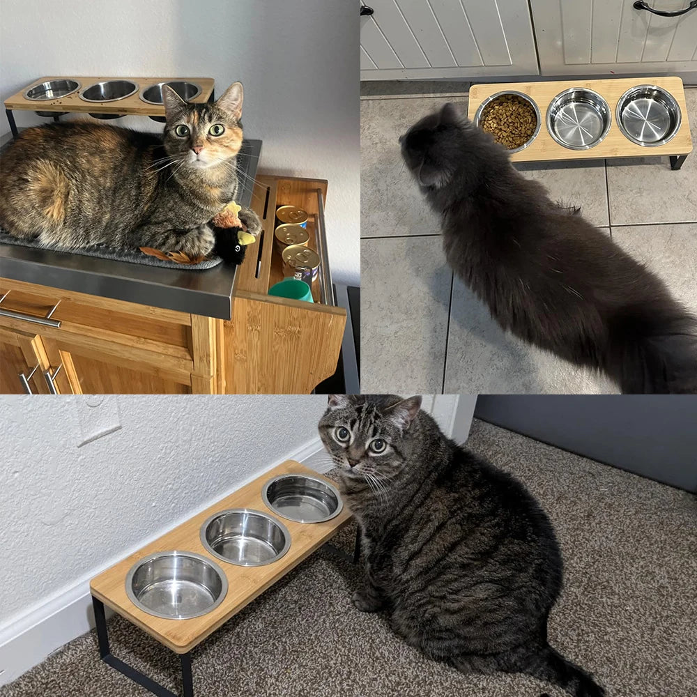 Elevated Cat Bowls with 3 Stainless Steel Bowls 15° Tilted Anti-Vomiting Raised Cat Food Bowl for Small Cats Puppies Accessories