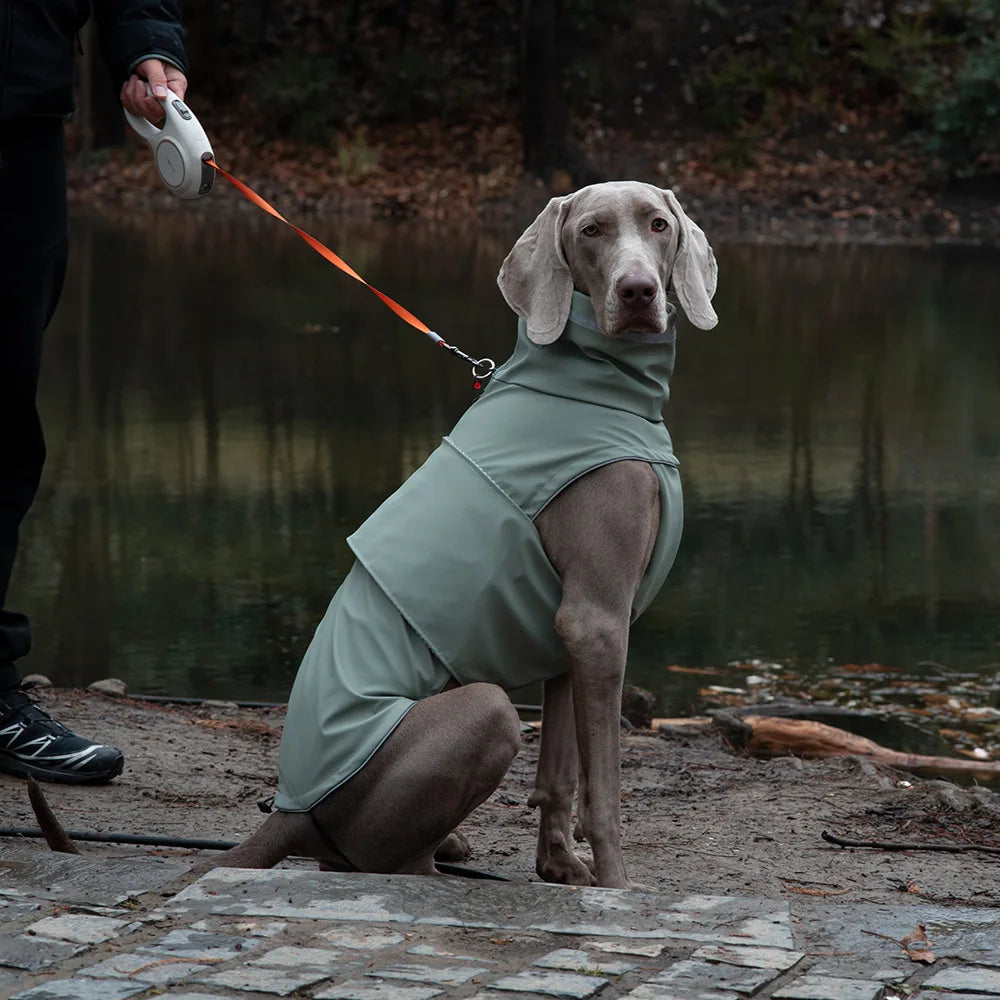 Dog waterproof dustproof outdoor jacket pet raincoat outfit rainproof clothing rain dual use coat cloth large dog trench coat