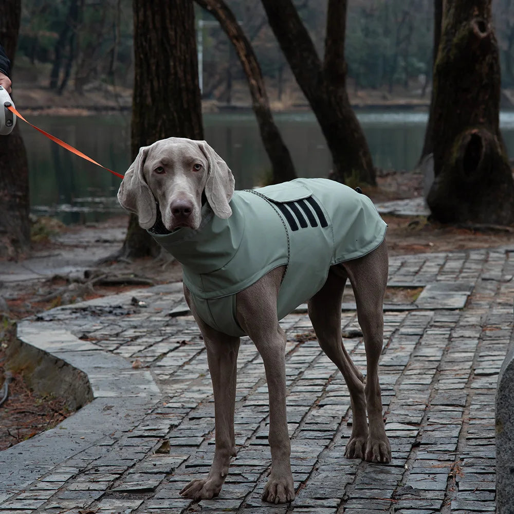 Dog waterproof dustproof outdoor jacket pet raincoat outfit rainproof clothing rain dual use coat cloth large dog trench coat