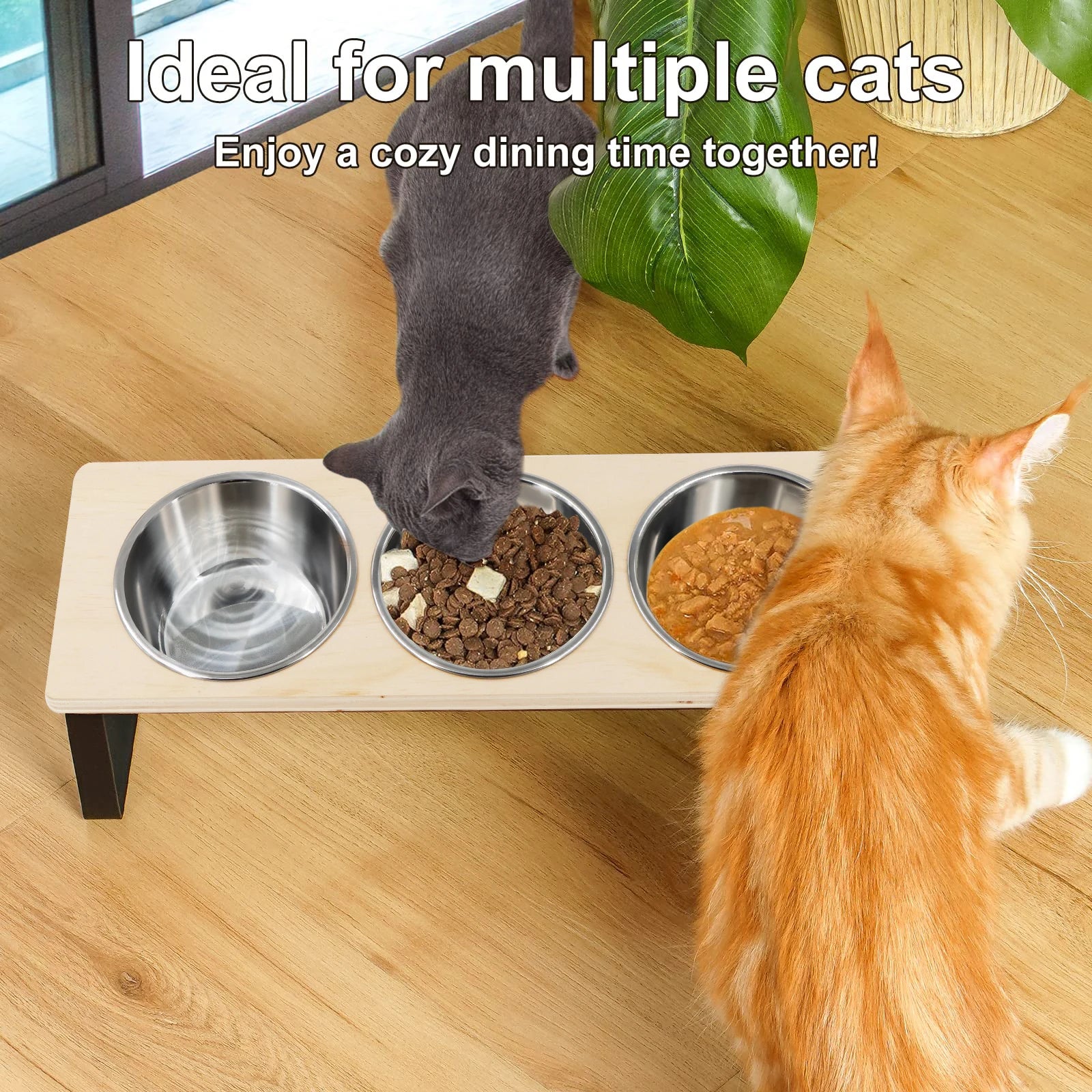 Elevated Cat Bowls with 3 Stainless Steel Bowls 15° Tilted Anti-Vomiting Raised Cat Food Bowl for Small Cats Puppies Accessories