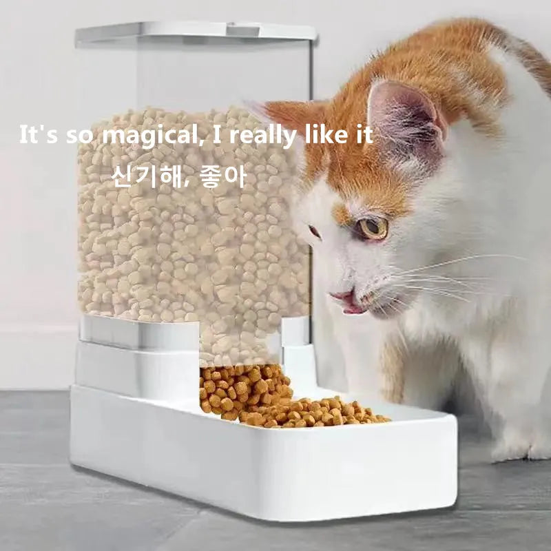 Dog Automatic Feeder Transparent Automatic Gravity Cat Water Bowl High Capacity Food Storage  Container Cat And Dog Accessories