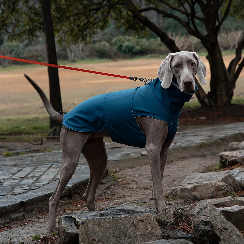 Dog waterproof dustproof outdoor jacket pet raincoat outfit rainproof clothing rain dual use coat cloth large dog trench coat
