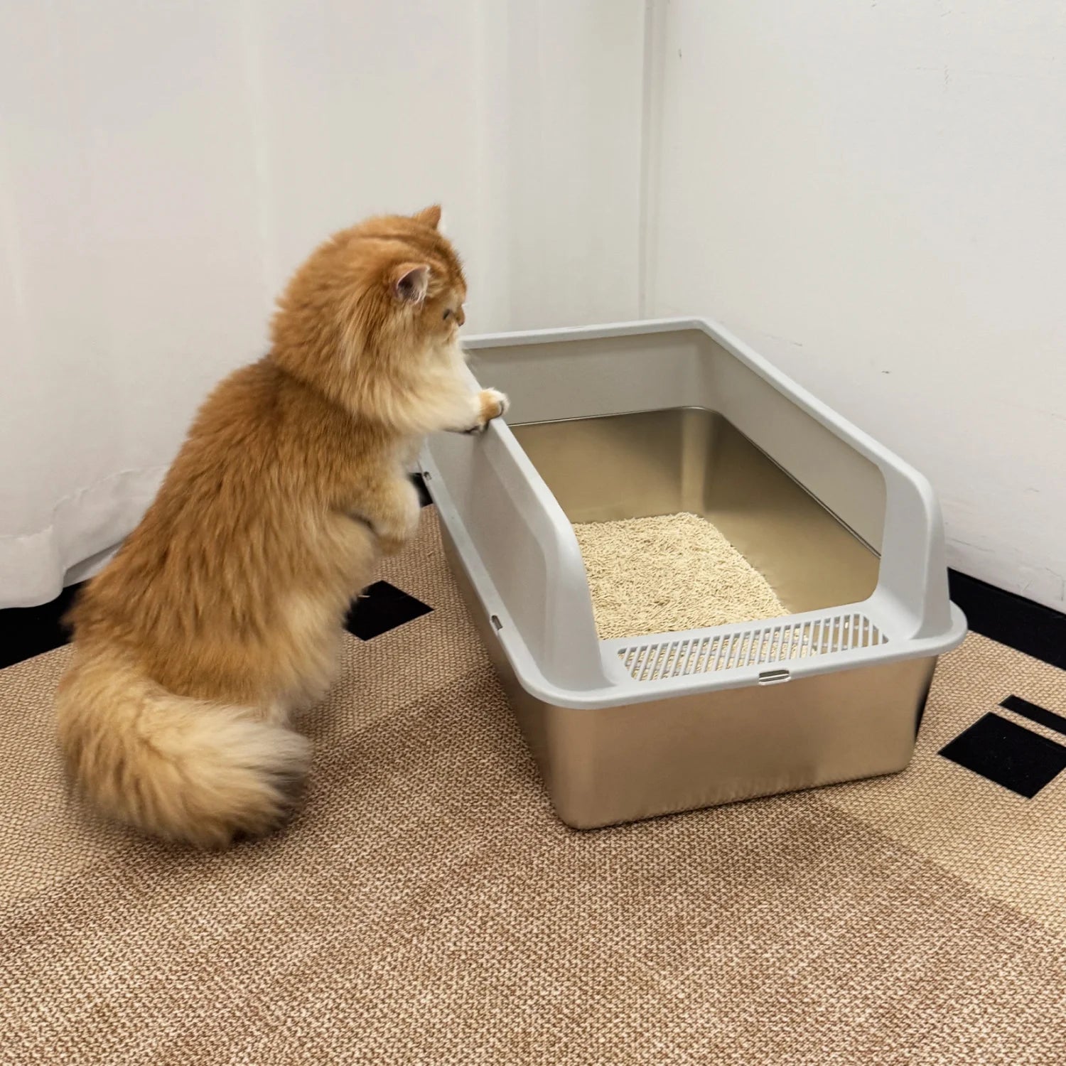 Large High-Sided Stainless Steel Cat Litter Box with Spoon for Small to Medium Sized Kittens Open Cats Litter Pan Easy Clean