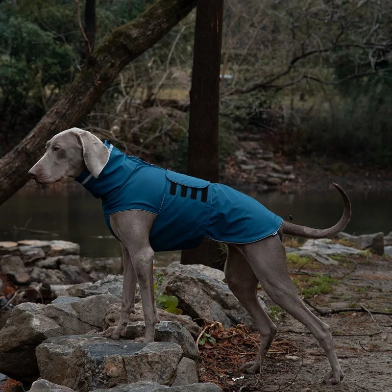 Dog waterproof dustproof outdoor jacket pet raincoat outfit rainproof clothing rain dual use coat cloth large dog trench coat